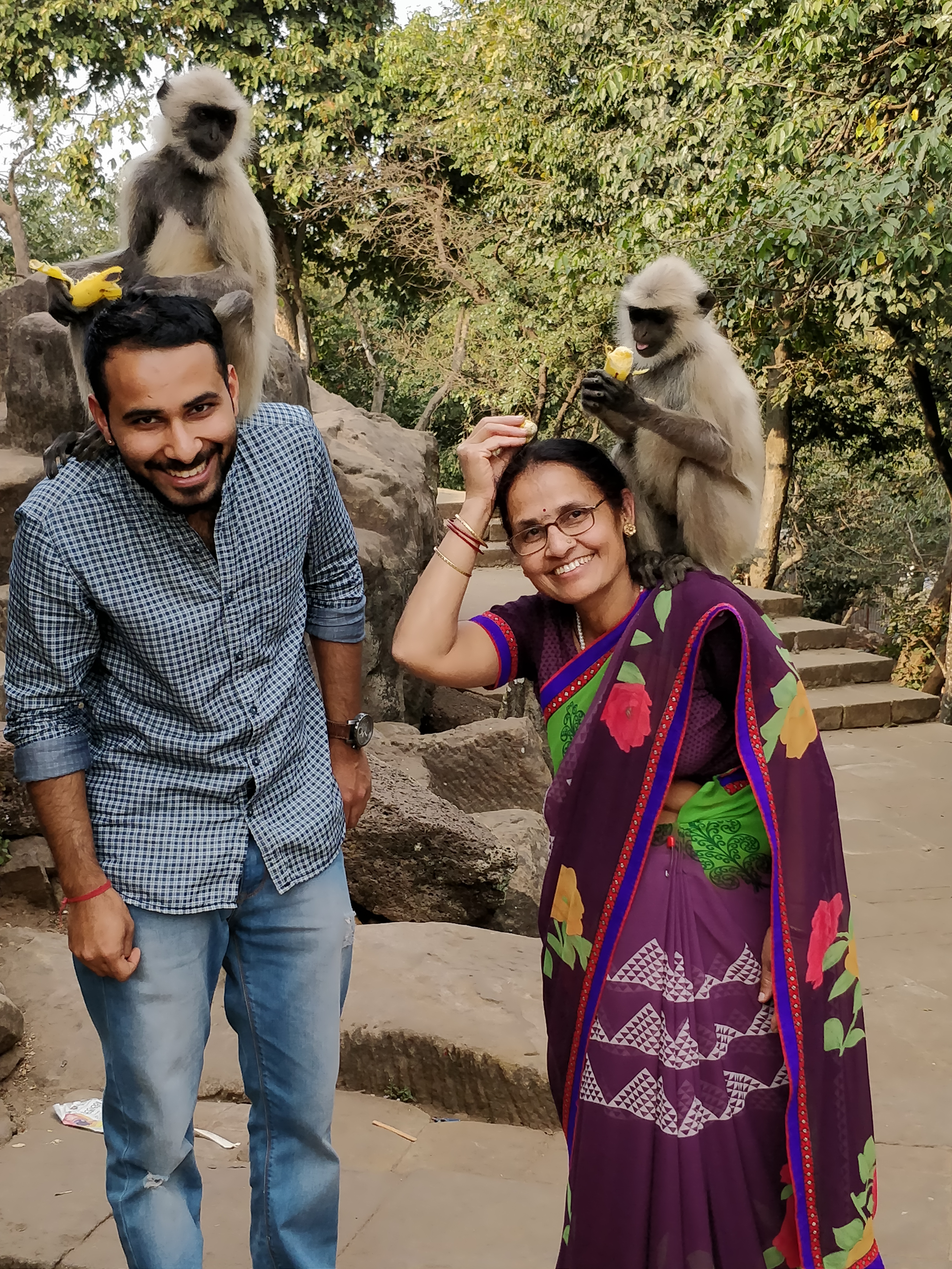 Langurs seated on Shoulders of an Indian guy and his mother, receiving bananas at Udaygiri and Khandagiri Caves, Bhubaneswar, India